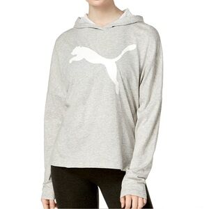 Puma Lightweight Tshirt material Gray Pullover Hoodie